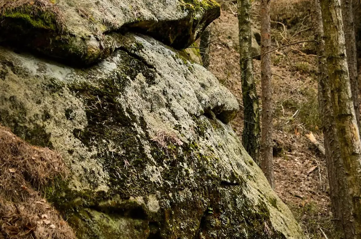 Fantastická kokořínská skalní zvířata — Regionální muzeum Mělník, p. o., Mělník