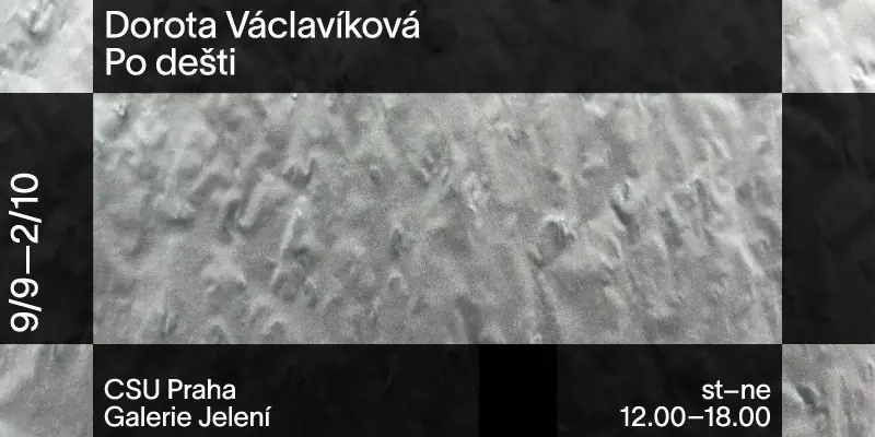 Dorota Václavíková – Po dešti — Centrum pro současné umění Praha, Praha