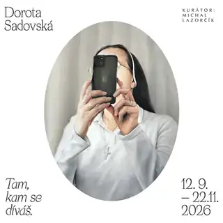 Дорота Садовская - Туда, куда ты смотришь