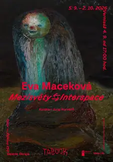 Ева Мацекова - Межсвіти