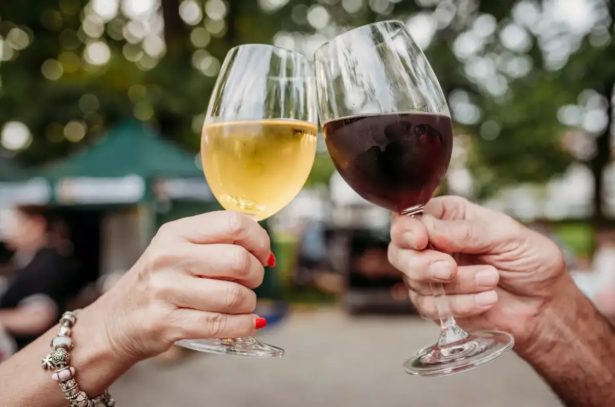 Humpolecké vinobraní 2026 — Městské kulturní a informační středisko v Humpolci, Humpolec