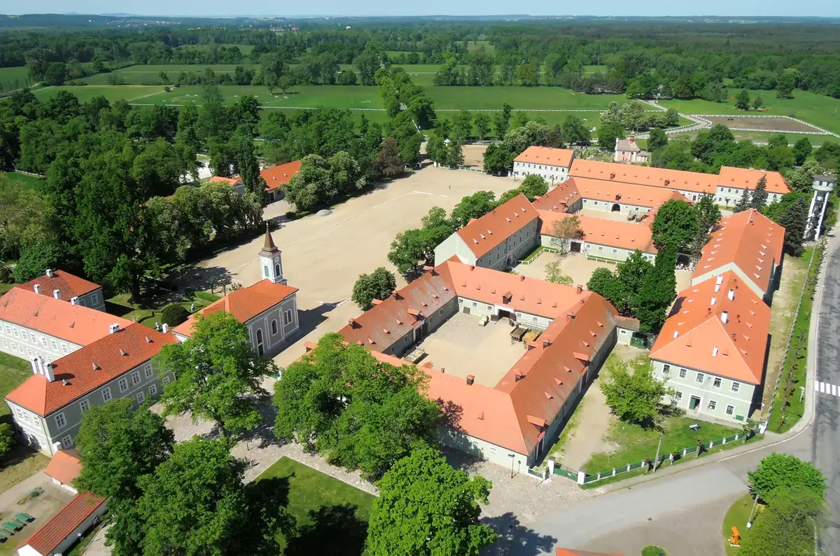 Prohlídka stájí pro neslyšící návštěvníky v hřebčíně Kladruby nad Labem — Národní hřebčín Kladruby nad Labem, Kladruby nad Labem