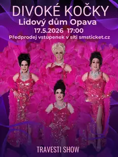 Трансвестит-группа «Дикие кошки» в Опаве