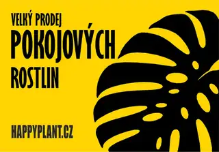 HAPPYPLANT Мельник