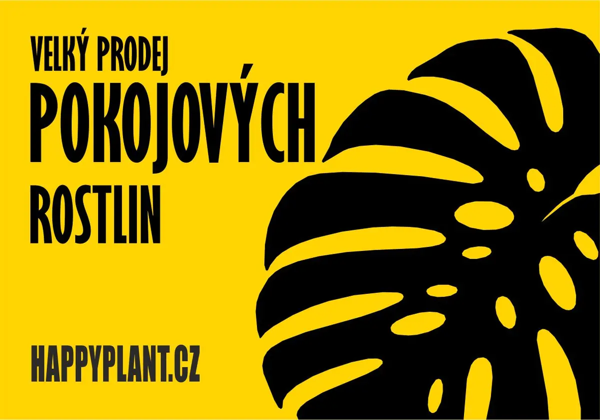 HAPPYPLANT Мельник — Masarykův kulturní dům, Мельнік