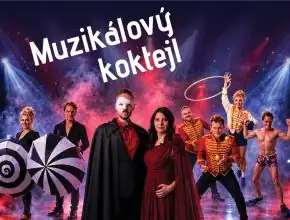 Музыкальный коктейль