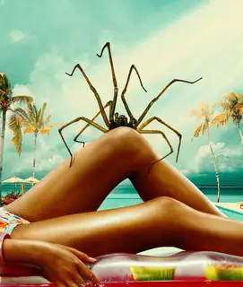 Eight Legs and a Million Followers