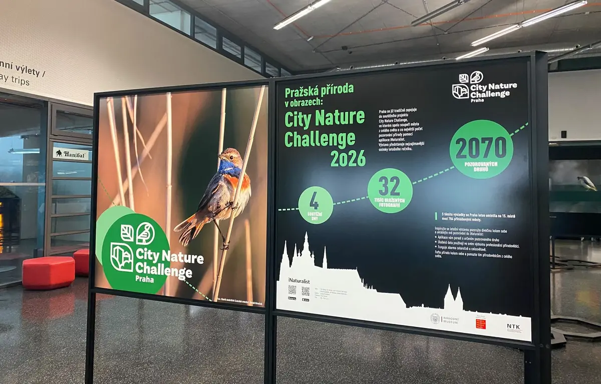 Prager Natur in Bildern — Nationalmuseum, Prag