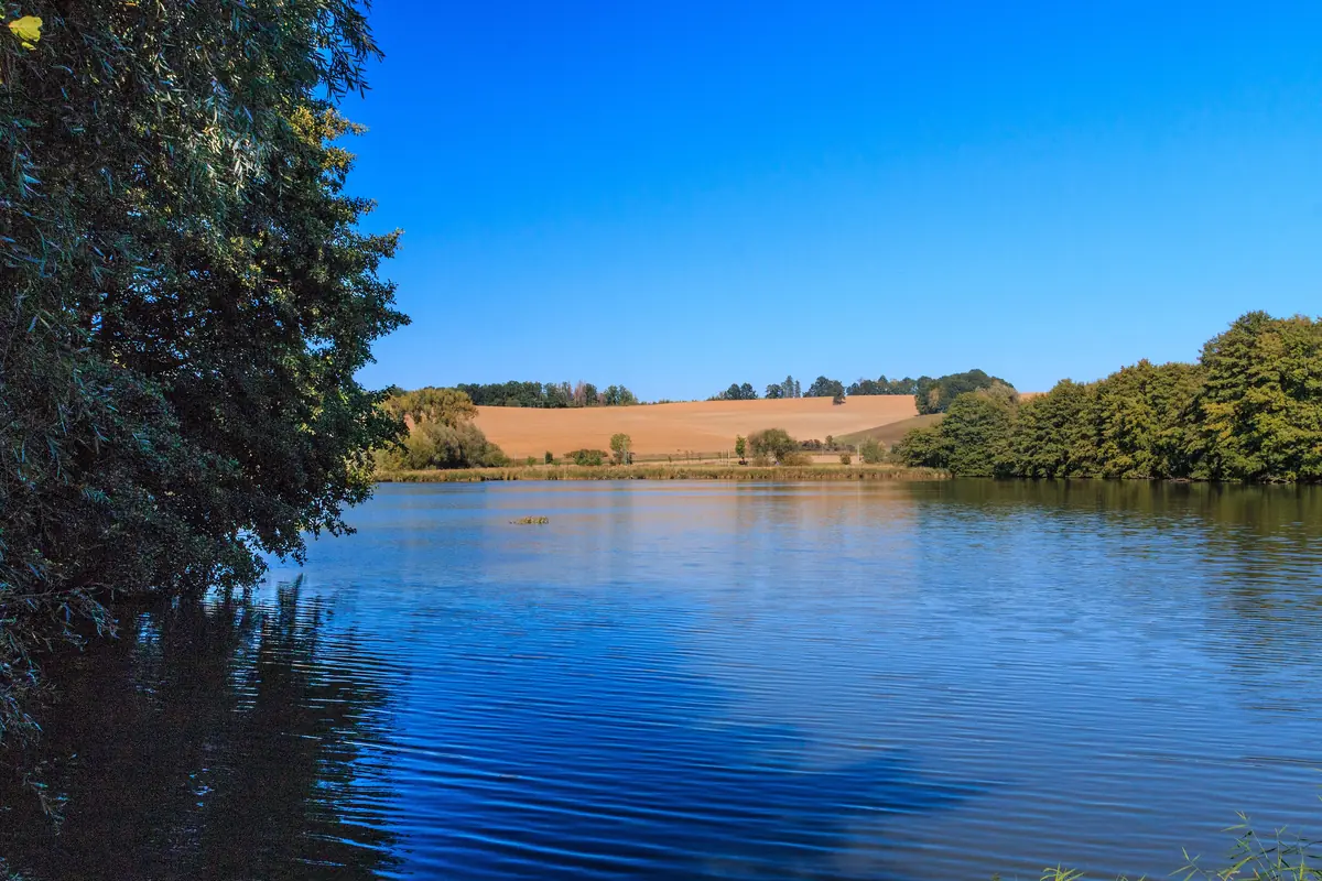 Buškovský Mill
