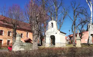 Зірки собак 2026
