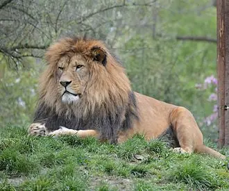 Zoologická a botanická zahrada města Plzně