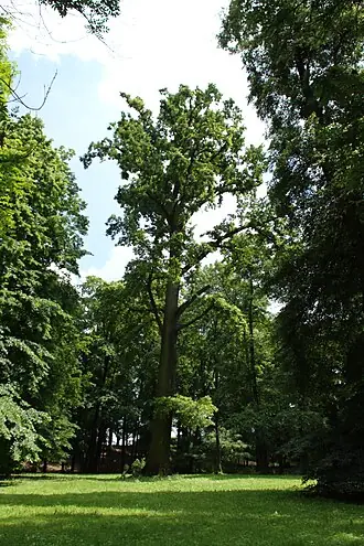 Zámecký park Dolní Počernice