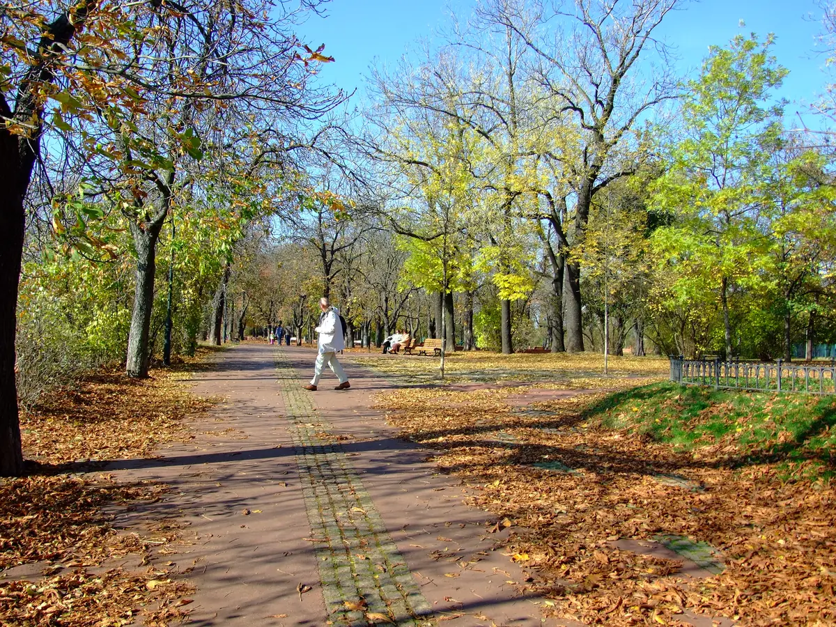 Letní improúterky 2026 — Letenské sady, Praha