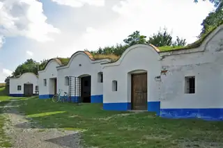 Svatováclavské hody, stavění máje