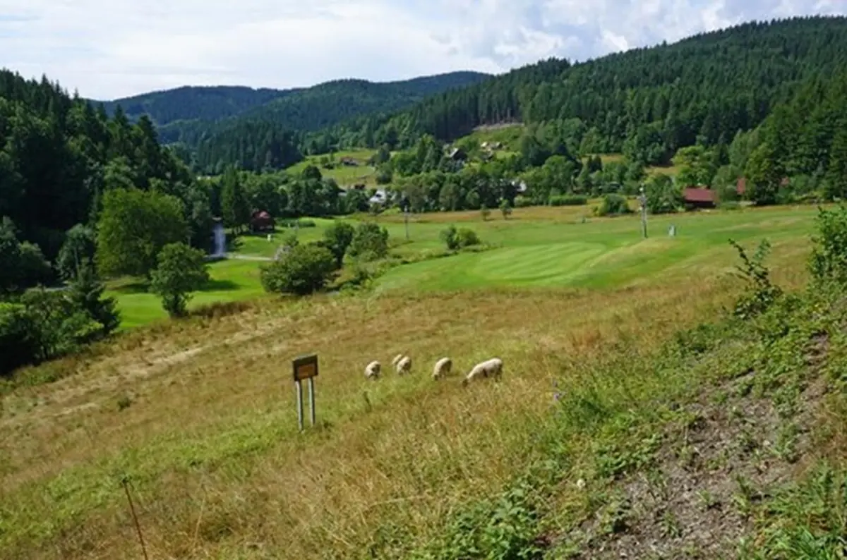 Bumbálka
