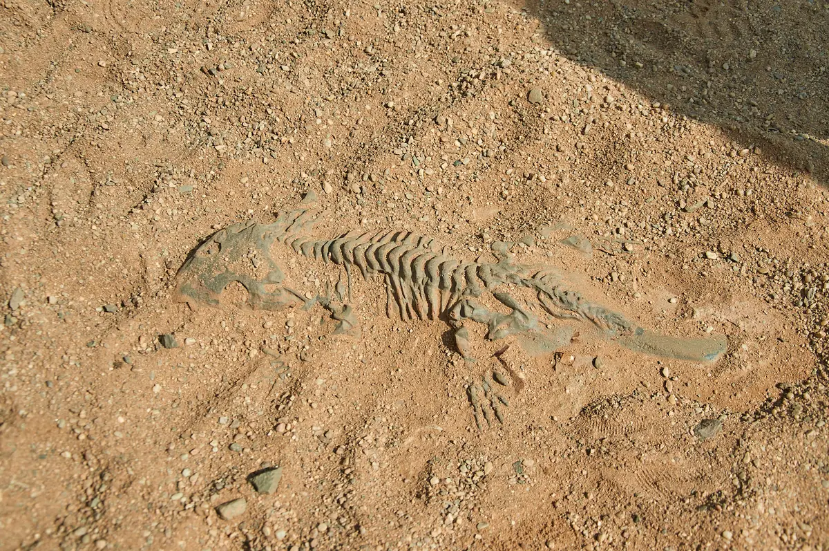 Paleopark Balka