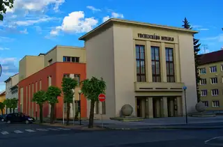 Антикваріат Петра Гапки