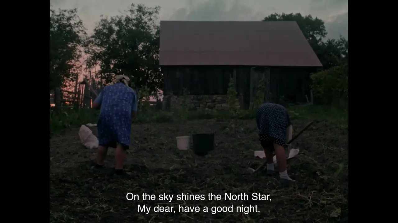 Trailer
