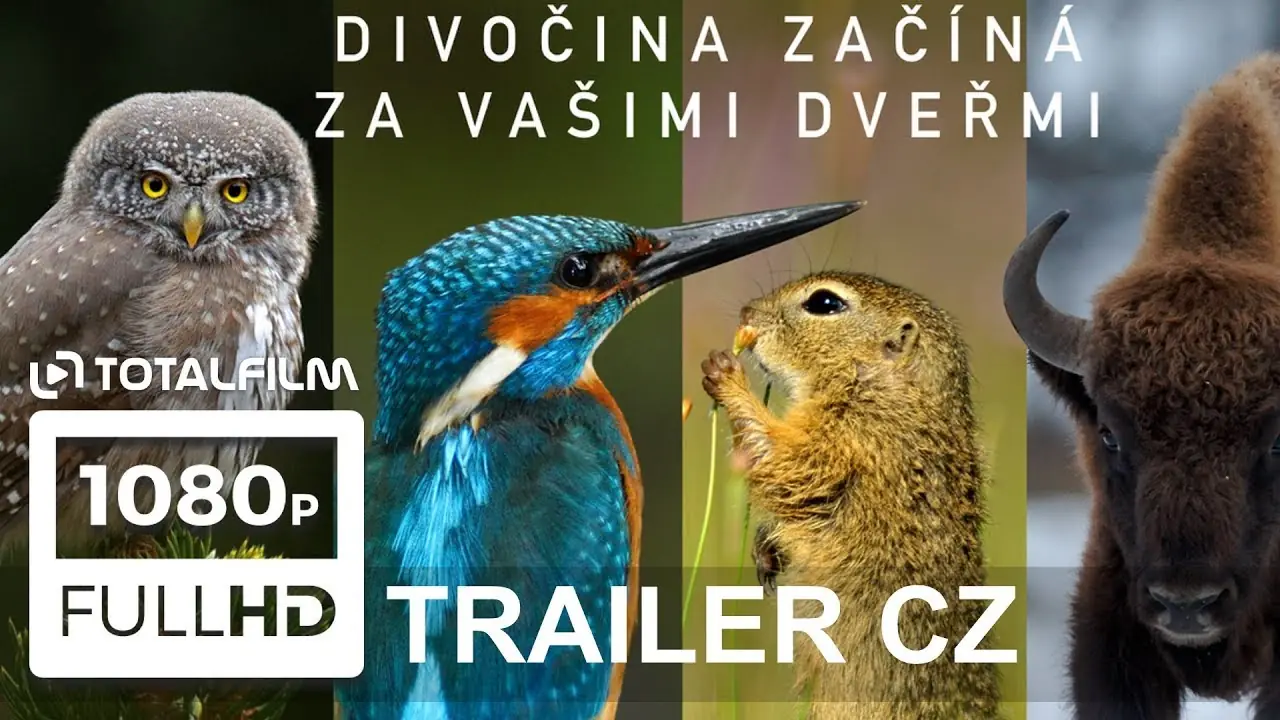 Trailer