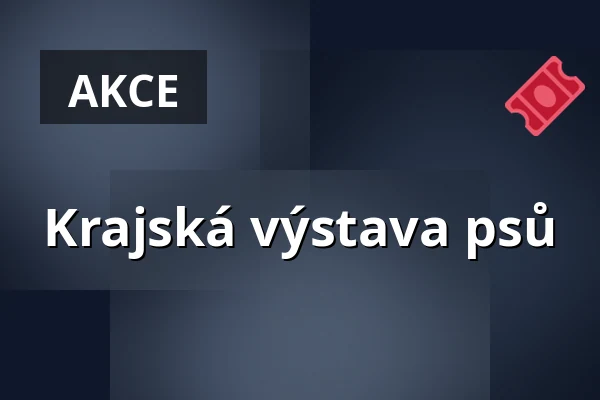 Krajská výstava psů — Radnice - Městské divadlo Netolice, Netolice