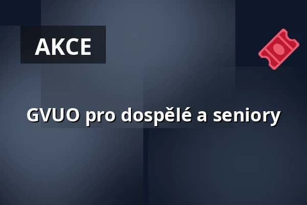 GVUO pro dospělé a seniory — Galerie výtvarného umění v Ostravě, p.o., Ostrava
