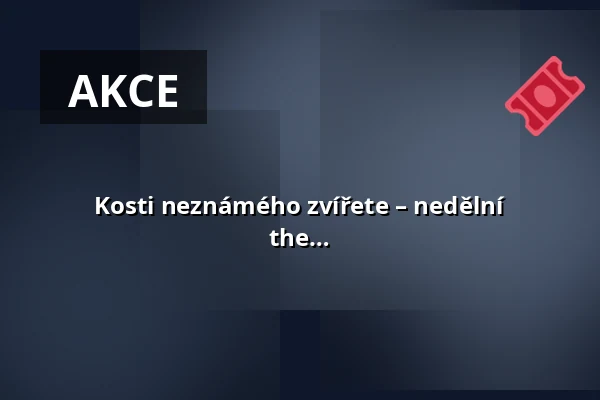 Kosti neznámého zvířete – nedělní Ateliérovka pro děti ⬩ DATAS: The Data and the Sovereign — Rudolfinum, Praha