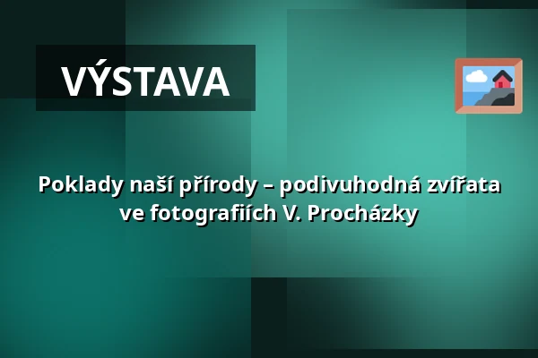 Poklady naší přírody – podivuhodná zvířata ve fotografiích V. Procházky — Rokycany