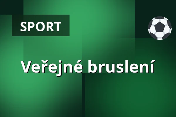 Veřejné bruslení
