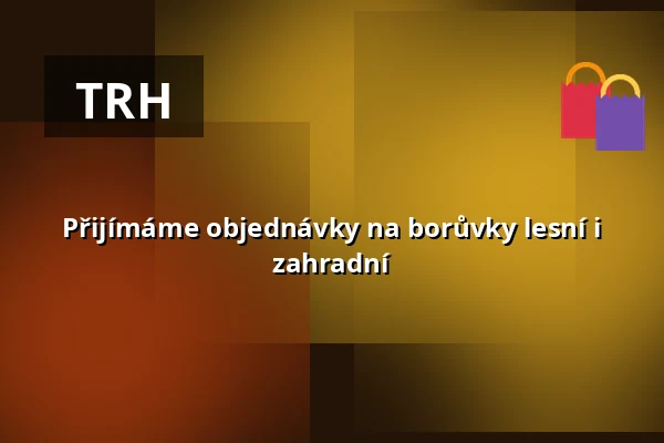 Přijímáme objednávky na borůvky lesní i zahradní — Jahody Česká Bělá Lubomír Šantrůček, Česká Bělá