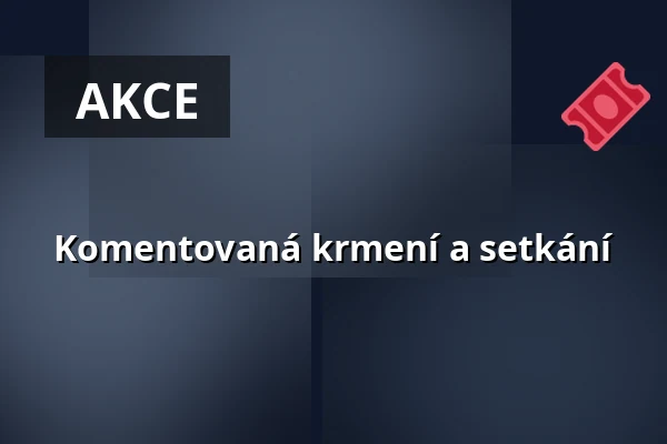 Komentovaná krmení a setkání — Zoologická zahrada hl.m.Prahy, Praha