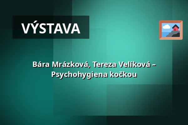 Bára Mrázková, Tereza Velíková – Psychohygiena kočkou — Galerie Kontext (Galerie TIC), Brno