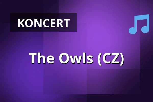 The Owls (CZ) — Pivní Bar Azyl, Liberec