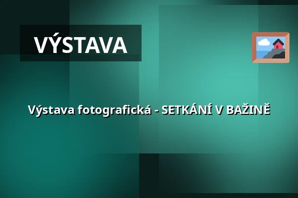 Výstava fotografická - SETKÁNÍ V BAŽINĚ — Muzeum JUDr. O. Kudrny v Netolicích, Netolice