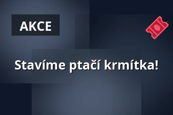 Stavíme ptačí krmítka! — IC Broumovska, Broumov