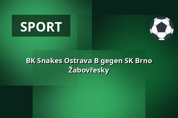 BK Snakes Ostrava B gegen SK Brno Žabovřesky — Sportanlage Rosnička, Brünn