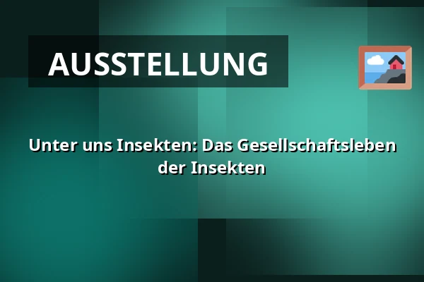 Unter uns Insekten: Das Gesellschaftsleben der Insekten — Naturhaus Žďárské Vrchy, Sněžné