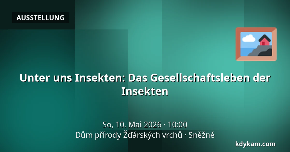 Unter uns Insekten: Das Gesellschaftsleben der Insekten — Naturhaus Žďárské Vrchy, Sněžné