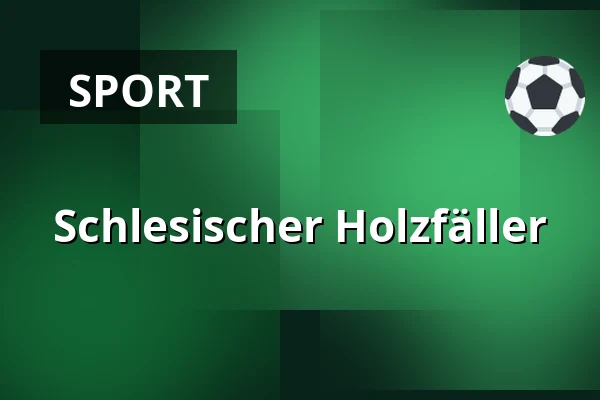 Schlesischer Holzfäller — Park Vendryně, Vendryně