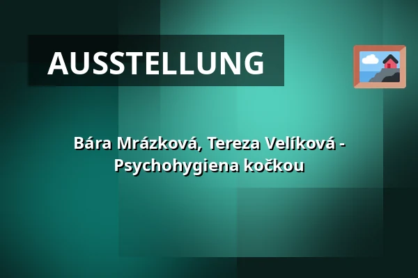 Bára Mrázková, Tereza Velíková - Psychohygiena kočkou — Galerie Kontext (Galerie TIC), Brünn