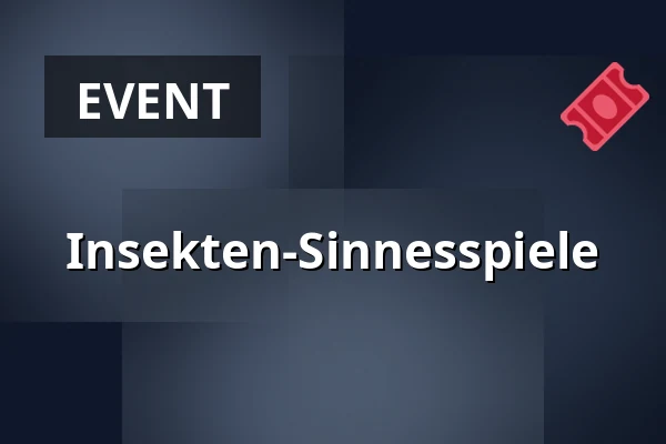 Insekten-Sinnesspiele — Hof des Alten Dekanats, Úštěk