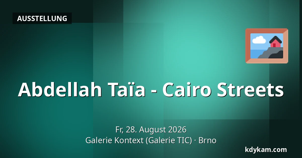 Abdellah Taïa - Cairo Streets — Galerie Kontext (Galerie TIC), Brünn