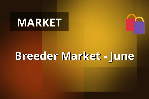 Breeder Market - June — Výstaviště, Kroměříž