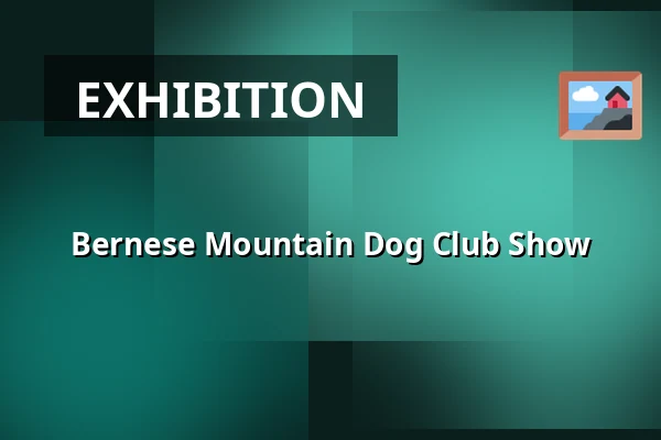 Bernese Mountain Dog Club Show — Camp Olšovec Jedovnice, Jedovnice