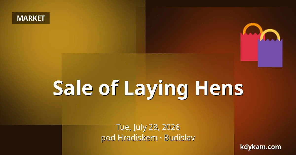 Sale of Laying Hens — Pod Hradiskem, Budislav