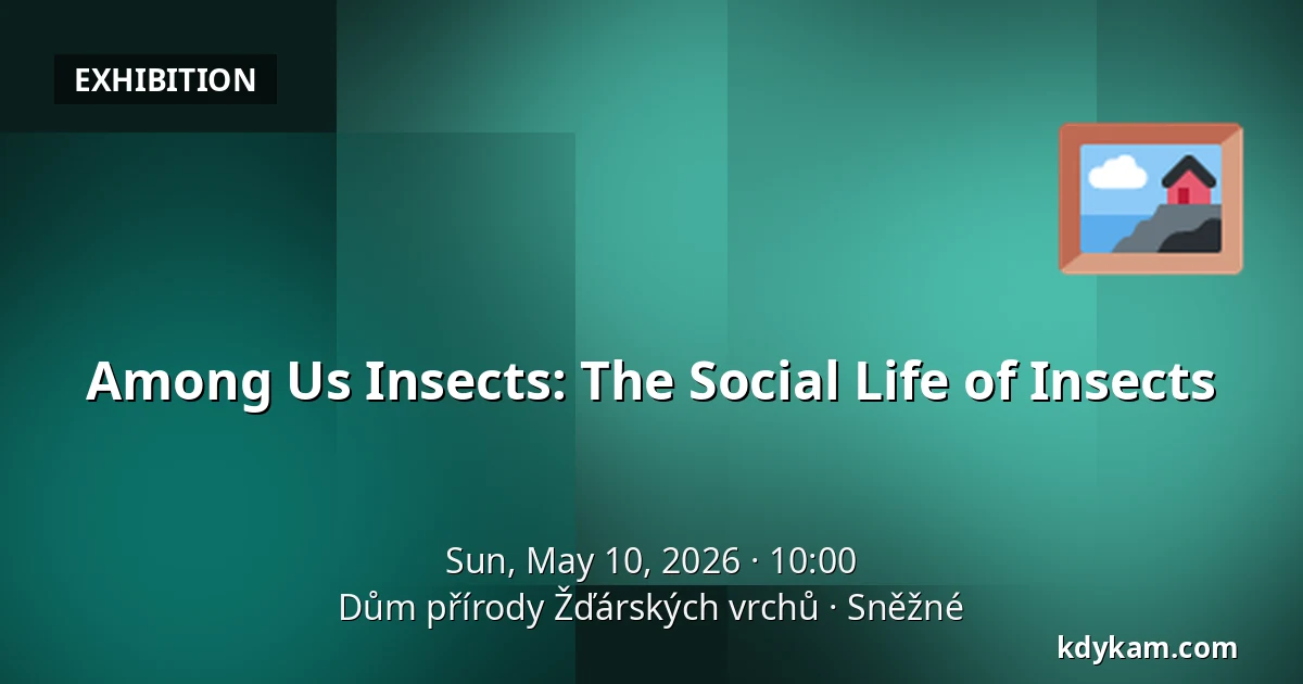 Among Us Insects: The Social Life of Insects — House of Nature Žďárské Vrchy, Sněžné