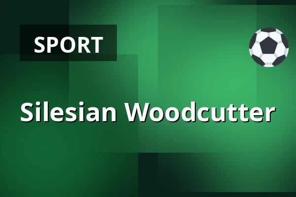 Silesian Woodcutter — Vendryně Park, Vendryně