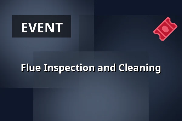 Flue Inspection and Cleaning — Vendryně Park, Vendryně