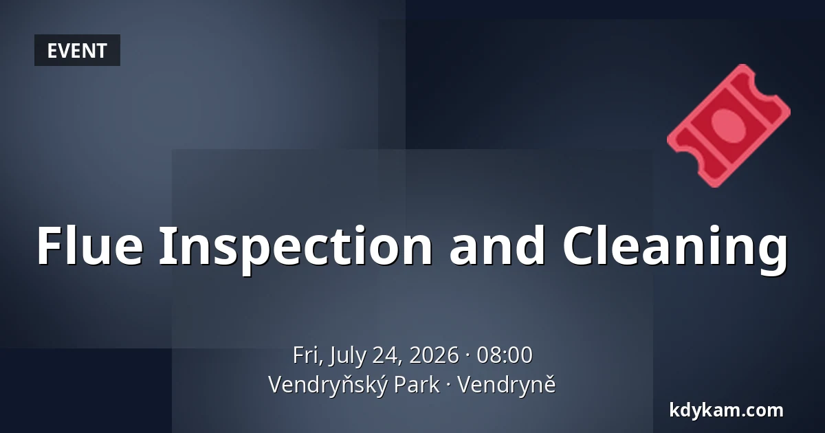 Flue Inspection and Cleaning — Vendryně Park, Vendryně