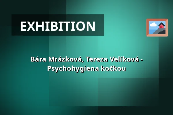 Bára Mrázková, Tereza Velíková - Psychohygiena kočkou — Kontext Gallery (TIC Gallery), Brno