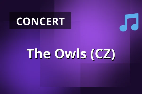 The Owls (CZ) — Pivní Bar Azyl, Liberec